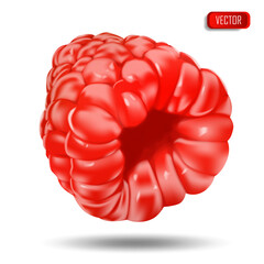 Appetizing fresh raspberries isolated on a white background. Realistic vector illustration