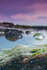 rocky beaches and cliffs on a sunny summer day - Cork, Ireland