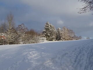 Ilmenau und Umgebung im Februar 2021