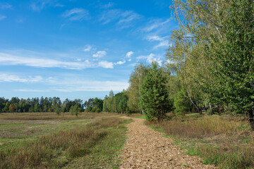 Nature Park Beremytske, Chernihiv region, Beremytske village, Ukraine.  .Natural garden for...