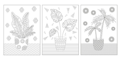 Set of exotic potted home plants with different geometric shapes, coloring page. Monochrome black and white vector illustration. © Nina Tysovska