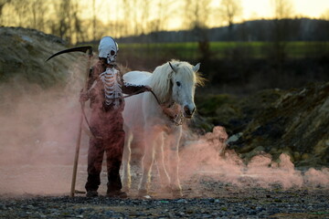 Weißes Pferd beim halloween shooting