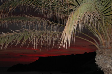 Palme im Vordergrund und roter Abendhimmel im Hintergrund