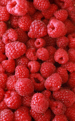 Healthy rasberries. Food for diet amd happy life.
