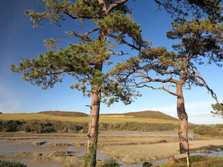 sea mills padstow Cornwall