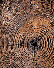 Naklejka premium wood texture