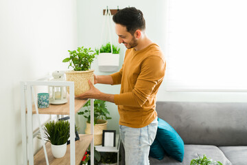 Side view of a happy man decorating his home with plants