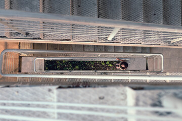 Far away woman looking up
