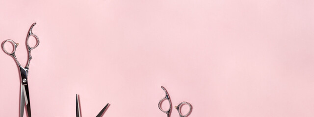 Banner flat lay from above of professional silver hair cutting shears set on pink background. Hairdresser salon equipment and haircut work tools concept during quarantine with copy space