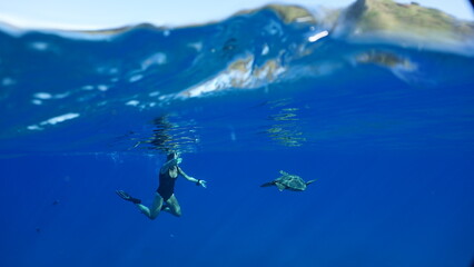 Fototapeta na wymiar Swimming With a Green Sea Turtle in Hawaii 