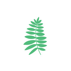 Tropical leaf logo symbol design vector on white background stock Illustration 