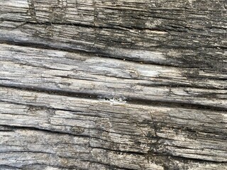 Fototapeta premium old wood texture