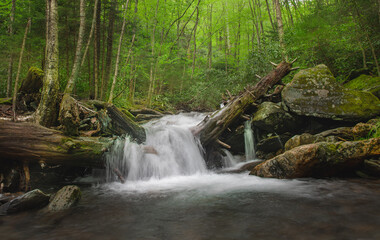 Obraz premium waterfall in the forest