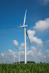 Fototapeta premium Windmill in Cornfield
