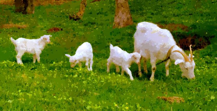 Oil paintings landscape, goat and lamb