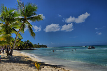 Palmeras en una playa en el Mar Caribe. Punta Cana. Isla saona
