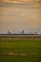 City of Denver Skyline