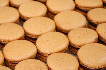 French macaron cookies filled with chocolate ganache cream