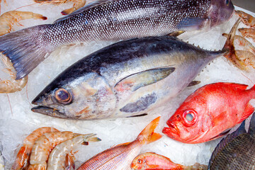 Seafood on ice at the fish market, fishmonger
