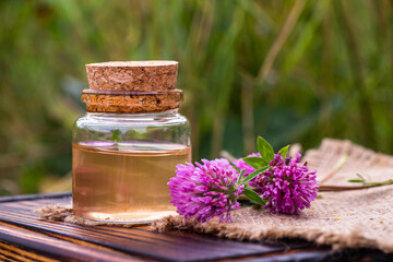 Trifolium pratense, red clover. Collect valuable flowers from moment of flowering, and start...