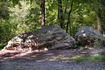 Great boulders in the summer forest.