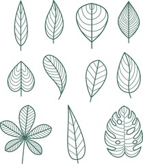 leaf line icon set, Leaf Icons Set on White Background. illustration.