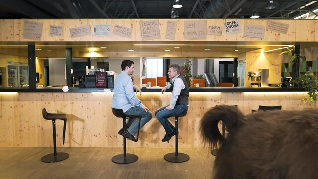 Business meeting in an office cafeteria with a llama walking by.