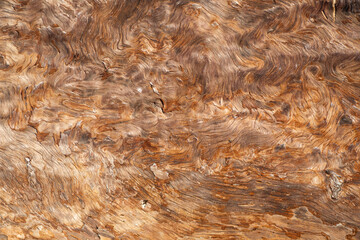 Golden Driftwood Texture