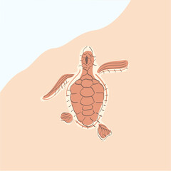 Sea turtle goes into the water