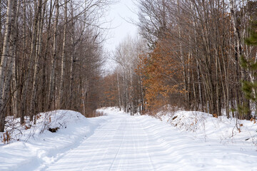 Obraz premium Winter in Wisconsin