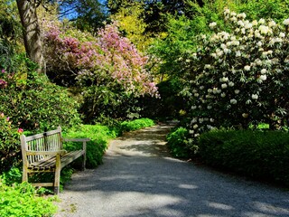Springtime blooms with walkways and benches in public Finnerty Gardens in Victoria BC