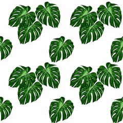 Hand drawn illustrations of monstera leaves for seamless pattern set of green leaves on white background 
