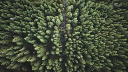 Deurstickers Steenrivier bij dennenbomen van boven naar beneden antenne. Niemand natuurlandschap op herfstdag. Hoog groen dennenbos op bergruggen. Filmische recreatiereizen naar de bergranden van de Karpaten, Oekraïne, Europa © Goinyk