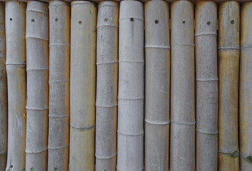 natural background, fence of bamboo trunks, selective focus