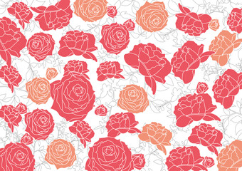 薔薇の花の背景素材