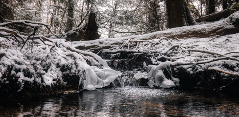 Beautiful River Stream in the Forest during winter morning. White Snow Covered. Taken in Squamish, North of Vancouver, British Columbia, Canada. Art Render