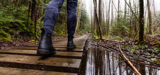 Girl Walking on a Mystical Trail in Rain Forest during a foggy and rainy Winter Season. Woods in Squamish, North of Vancouver, British Columbia, Canada. Low Angle Panorama