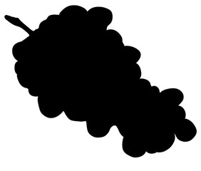 美味しいブドウのシルエット