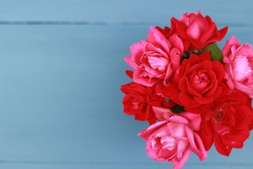 Pink and red roses