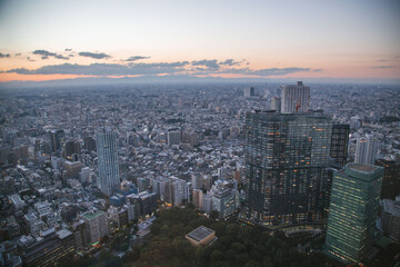 Tokyo skyline from Tokyo Metropolitan Government Building at dusk