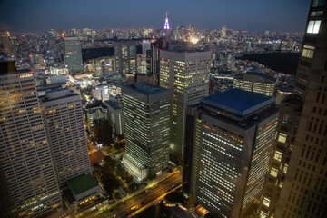 Naklejka premium Tokyo skyline from Tokyo Metropolitan Government Building at dusk