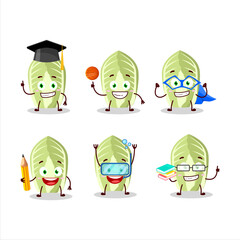 School student of chinese cabbage cartoon character with various expressions