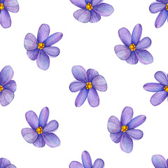 Fototapeta na wymiar Seamless pattern of hand drawn isolated purple crocus flowers. Spring florals pattern of elegant purple flower in watercolor on white background
