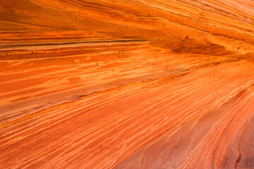 The beautiful landscape and rock formations of Coyote Buttes South in the Vermilion Cliffs National...