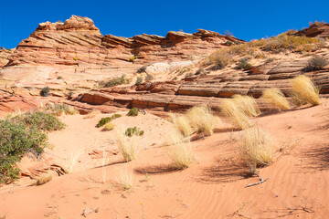 The beautiful landscape and rock formations of Coyote Buttes South in the Vermilion Cliffs National...