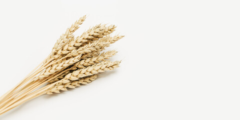 Fototapeta premium Ripe golden wheat ears close up. Background with ripening ears of cereal plant. Concept of autumnal harvest time
