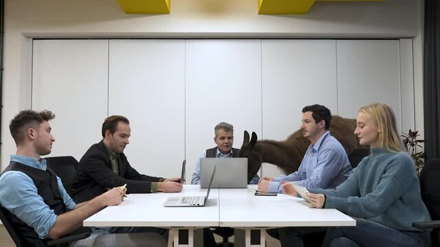 Five people having a business meeting with a llama in the office.