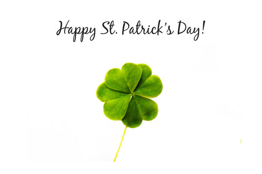 St. Patrick's day card shamrock green leaves clover picture on white background banner template