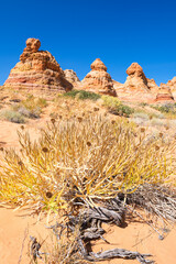 The beautiful landscape and rock formations of Coyote Buttes South in the Vermilion Cliffs National...