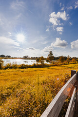 Landscape near autumn sunset